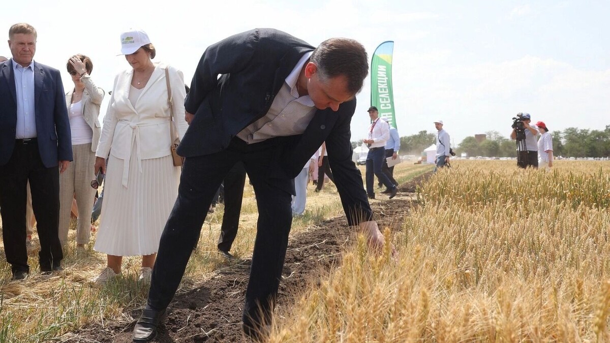     Автор: donland.ru