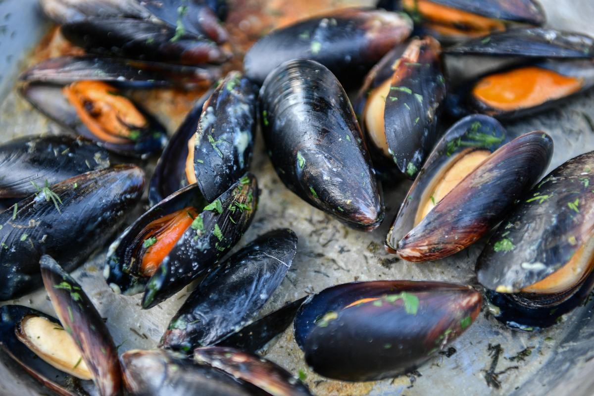 Мидии
© Туристический портал Республики Крым, Константин Крестьянинов