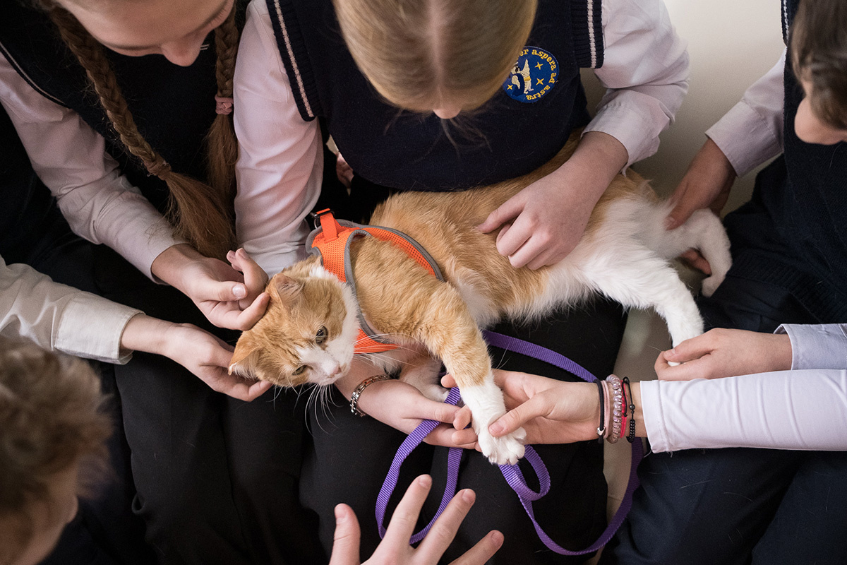 Фото: Наташа Лозинская для ТД