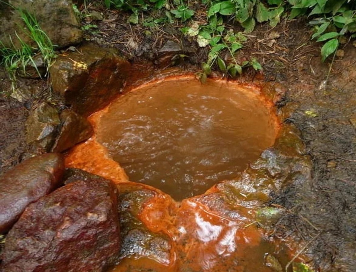 Джамагатские нарзаны