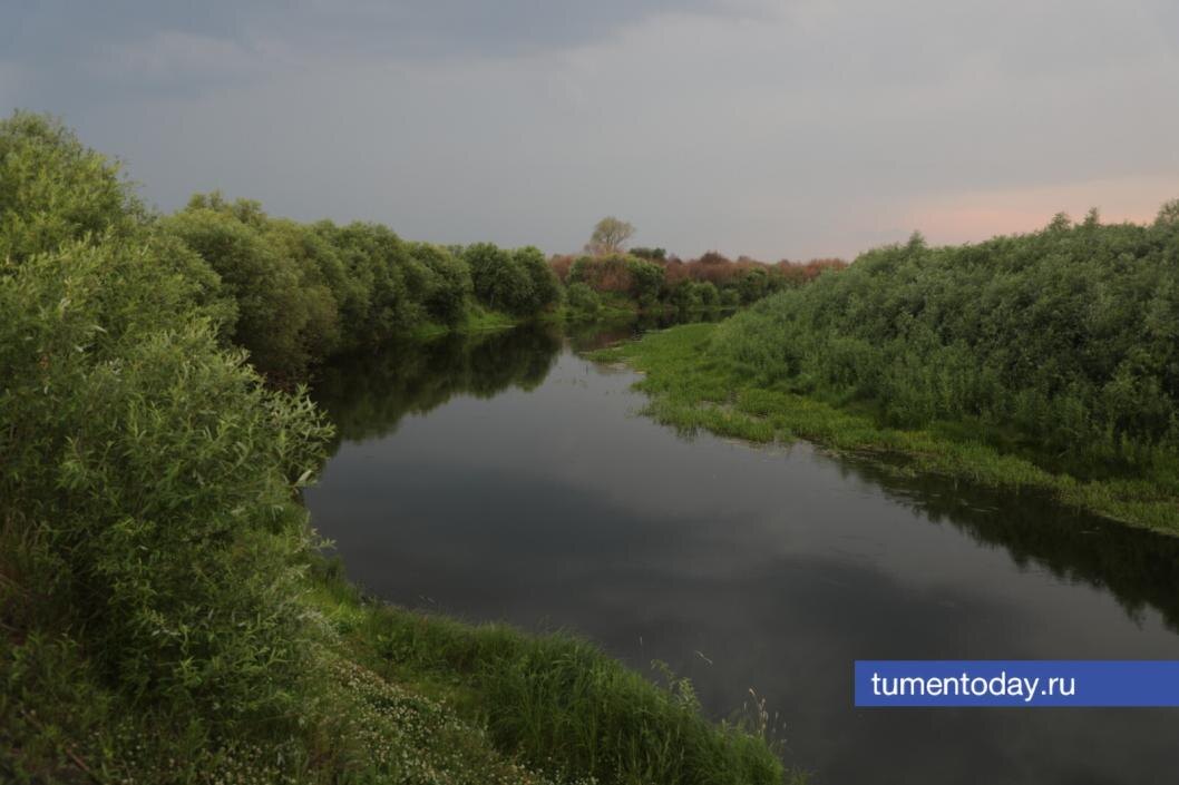  Фото Сергея Куликова