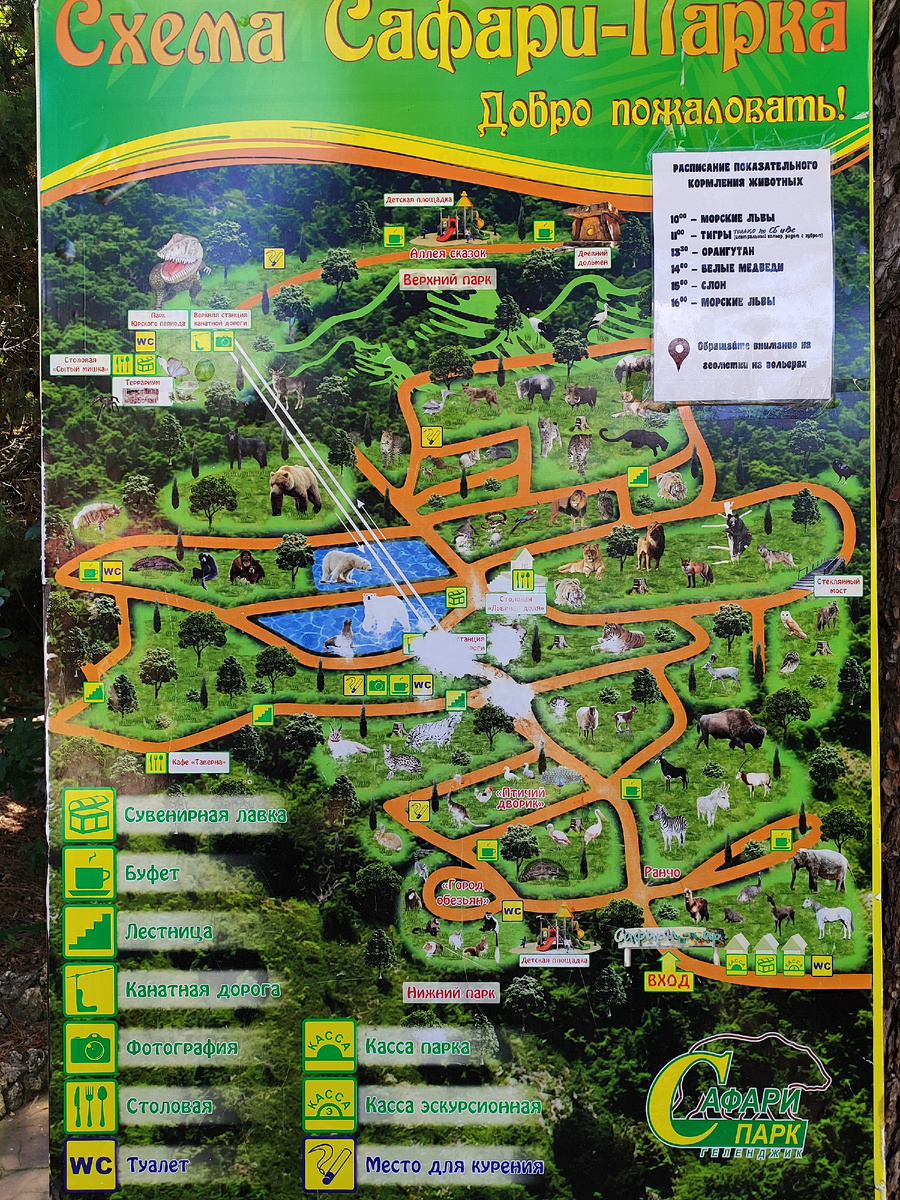 Схема огромного Сафари-парка