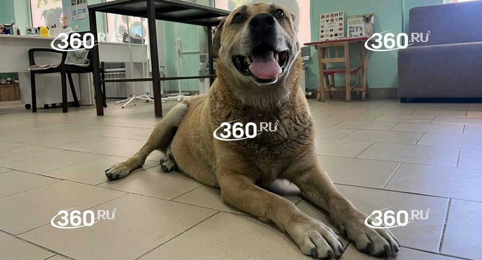    360.ru