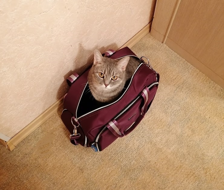 Наша Кася уже собралась