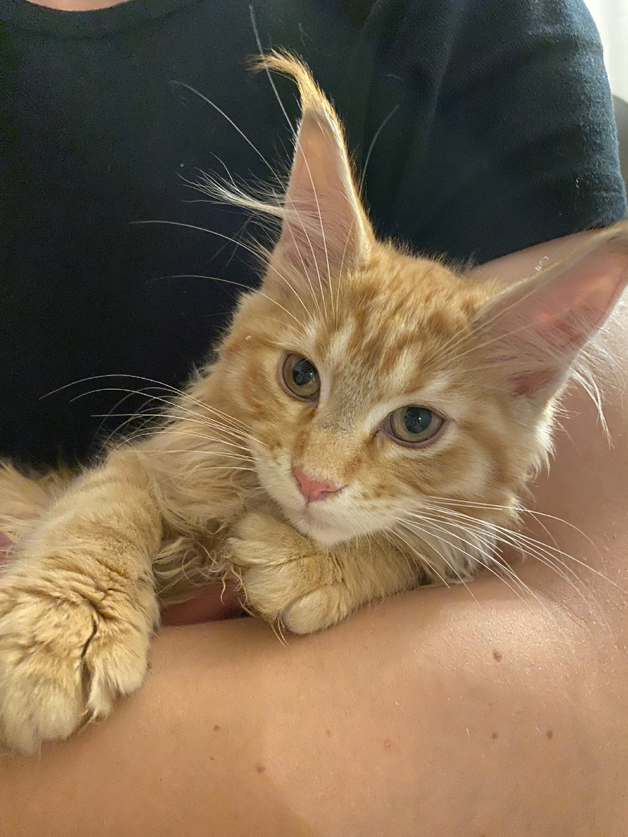 Тут наша Симона совсем маленькая, месяцев 5