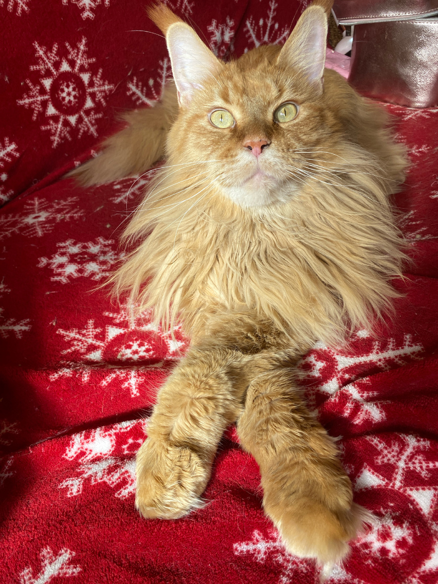 А тут уже 3 года 