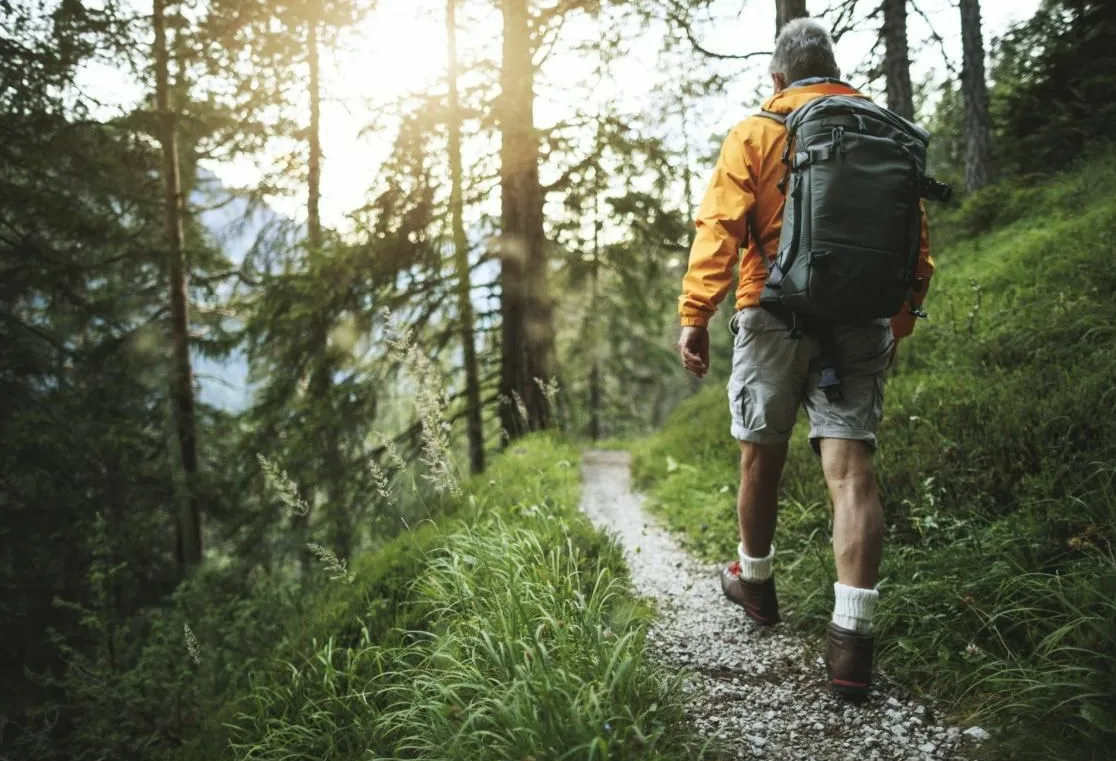 Яндекс картинки