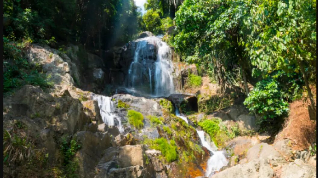    фото: Mara Brandl/imageBROKER.com/Globallookpress