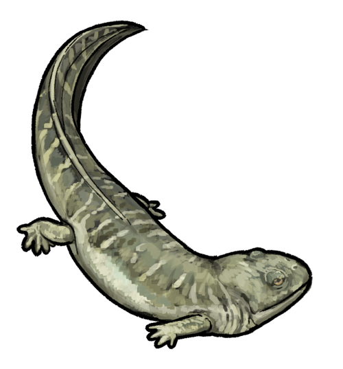 Реставрация прижизненного облика.