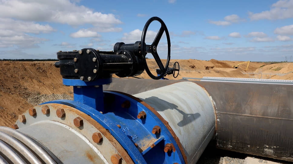 Фото: пресс-служба правительства Ростовской области