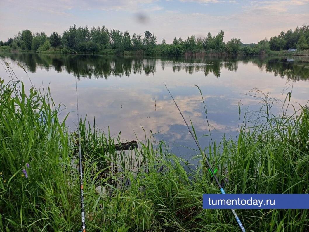  Фото Виталия Лазарева