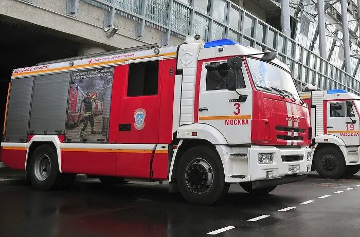    Фото: cnews.ru Оливия Ильинская