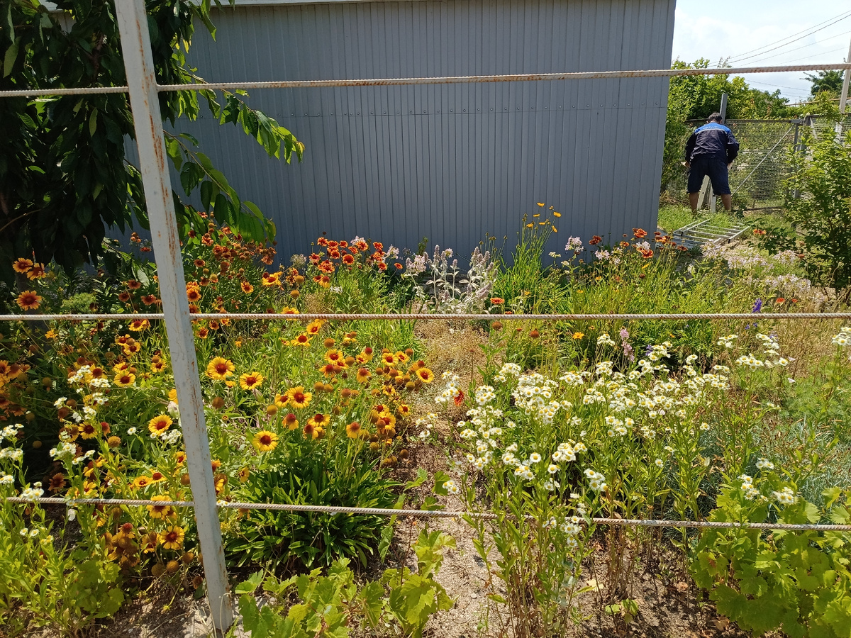 Это и все остальные фото автора канала