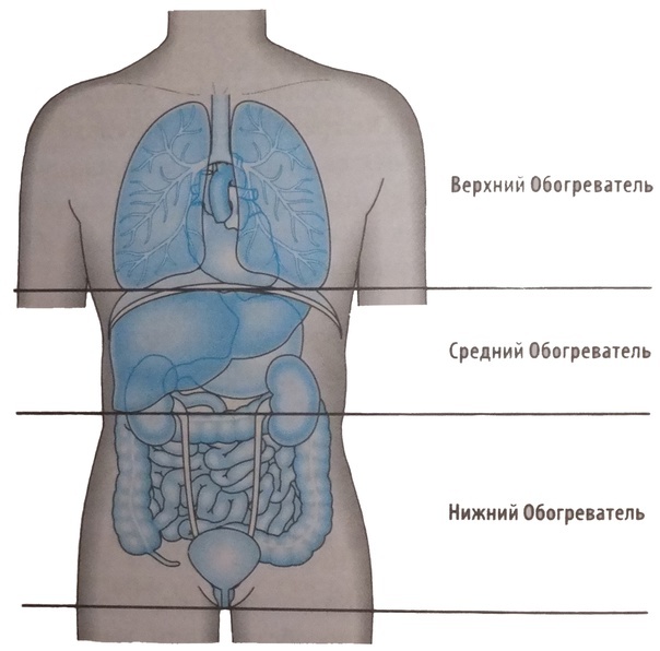 Из ЯндексКартинок 
