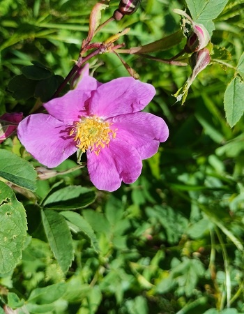 Фотография из личного архива автора