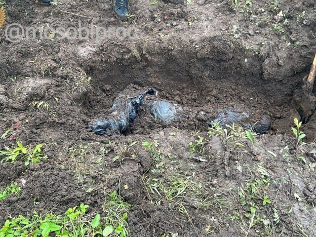    Фото: телеграм-канал "Прокуратура Московской области"