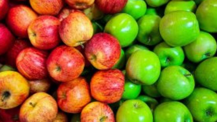    Фото: Управление Россельхознадзора по Москве, Московской и Тульской областям