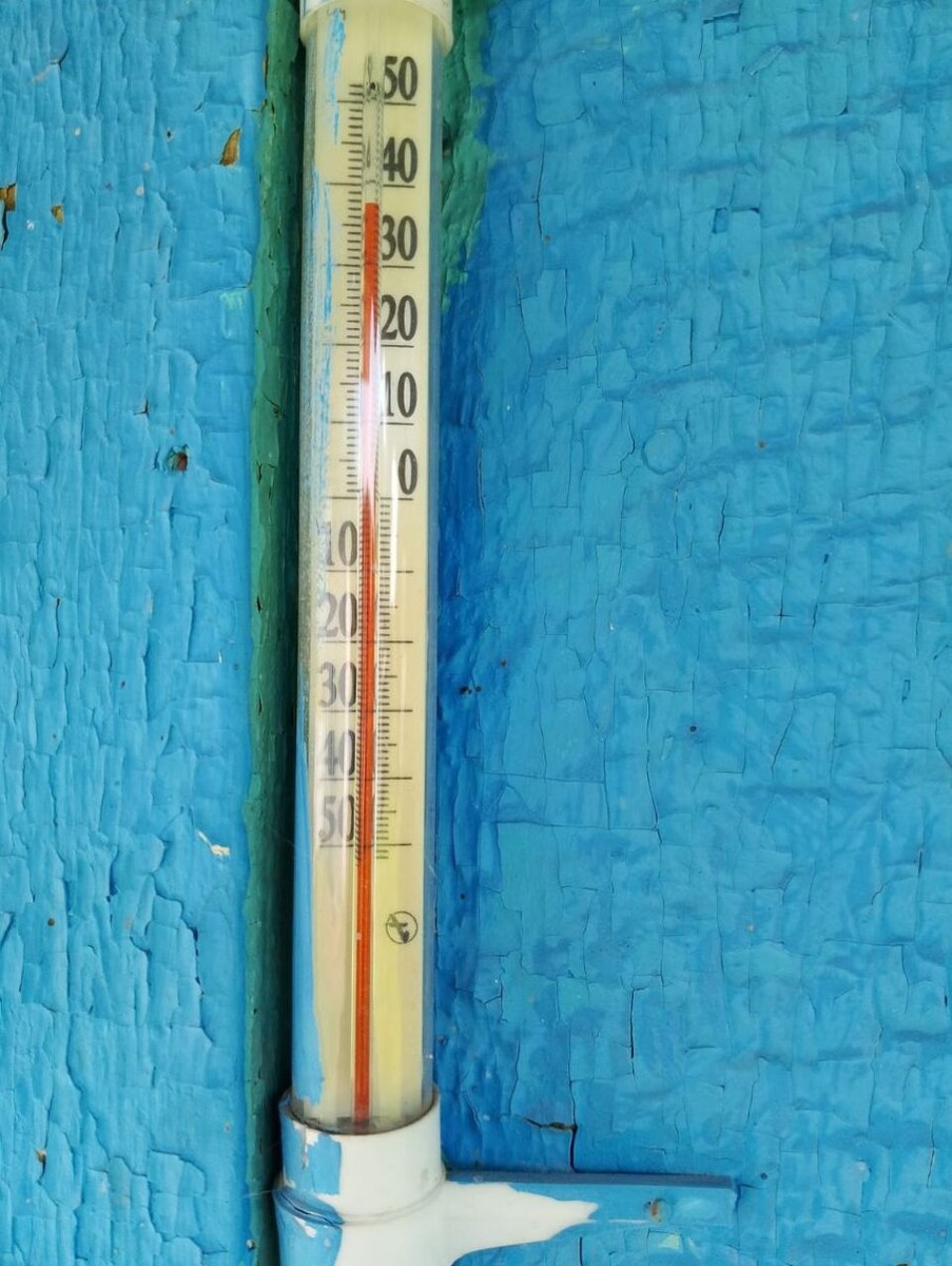    Температура в Павловском районе, село Колыванское. Источник: "Толк"