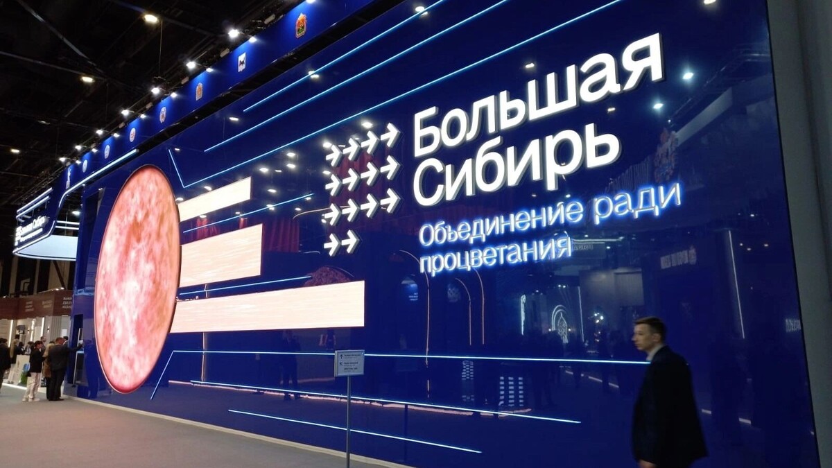     Источник: 1MI