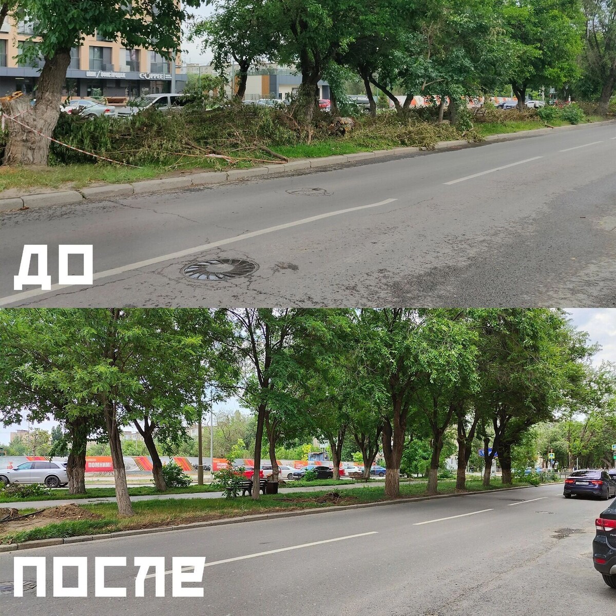     Источник: novostivolgograda.ru