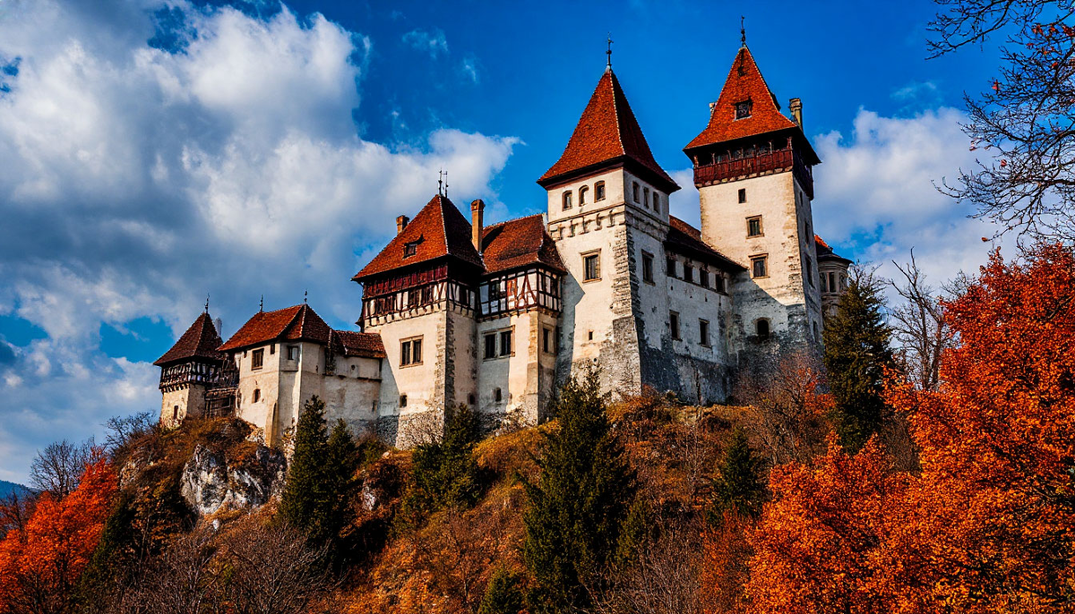 фото из интернета