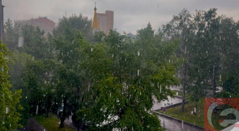    Фото: Прецедент