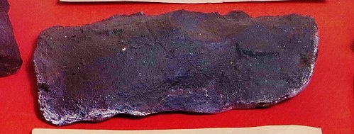 Окаменелость D.kimberleyensis'а. 