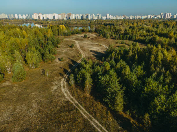 Это даже не полные масштабы Лосиного Острова, ведь это крупнейший лесопарковый массив региона!