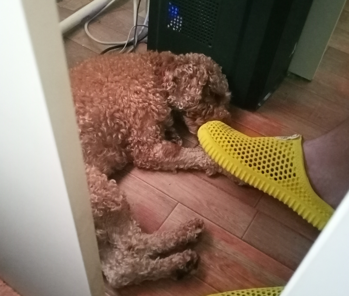 Румпель: - Ноги, ноооооооооооги. Мои ноги.