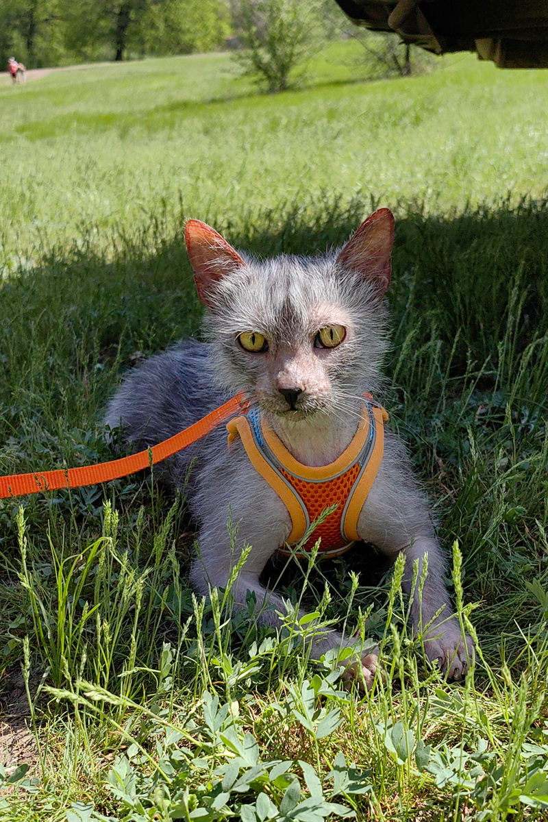 Арни наслаждается природой 🌳