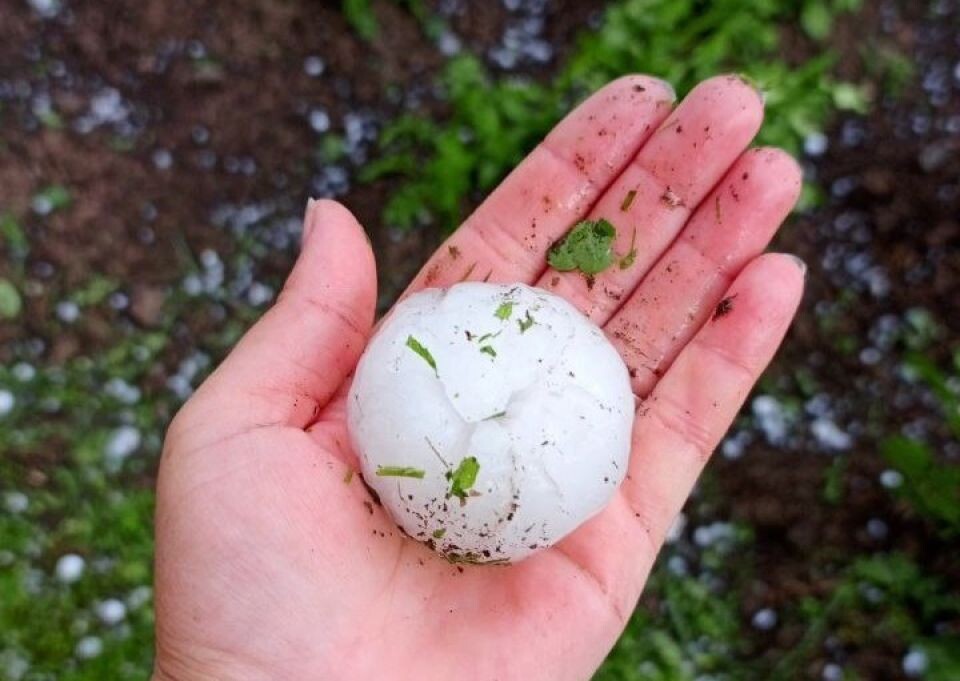    Гигантский июньский град в Республике Алтай. Источник: Telegram-канал "Горно-Алтайск"