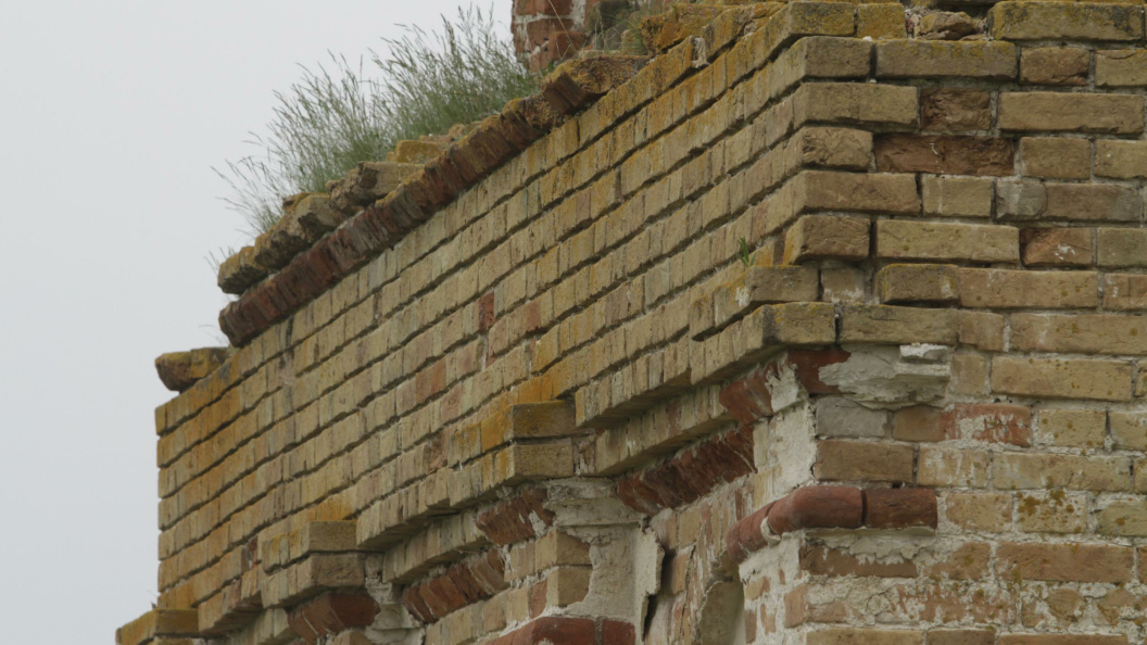    Фото: Nikolay Titov/Russian Look/Globallookpress