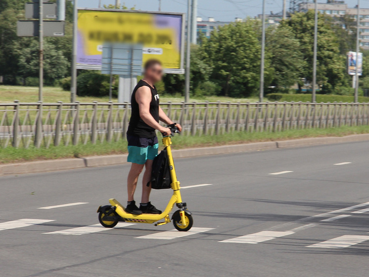     Скоро камеры научатся распознавать таких нарушителей. Фото: «МК в Питере»