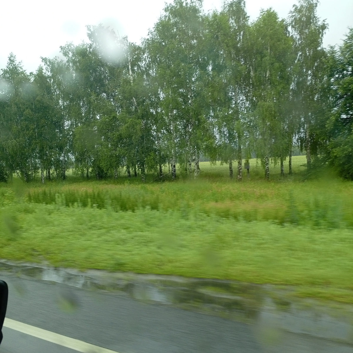 Сегодня по дороге в деревню