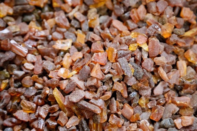   Фото из архива Калининград.Ru