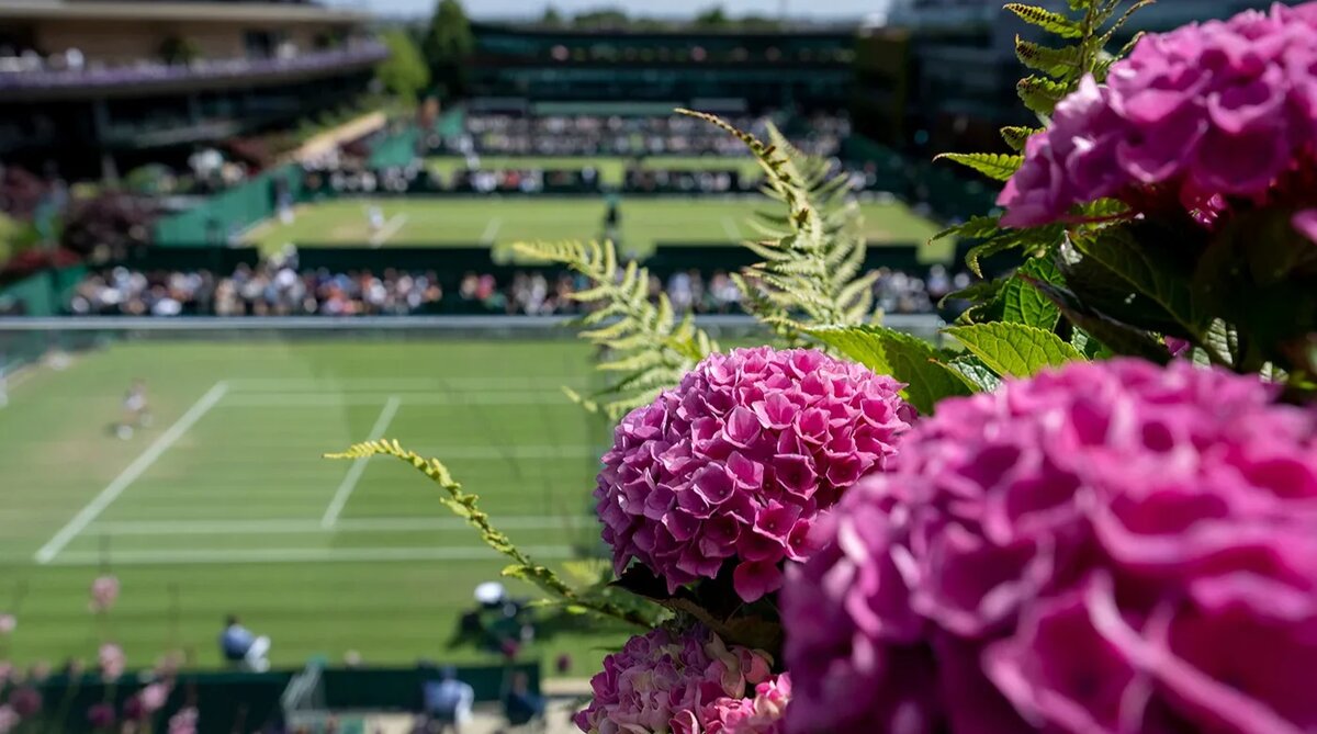 Фото: wimbledon.com