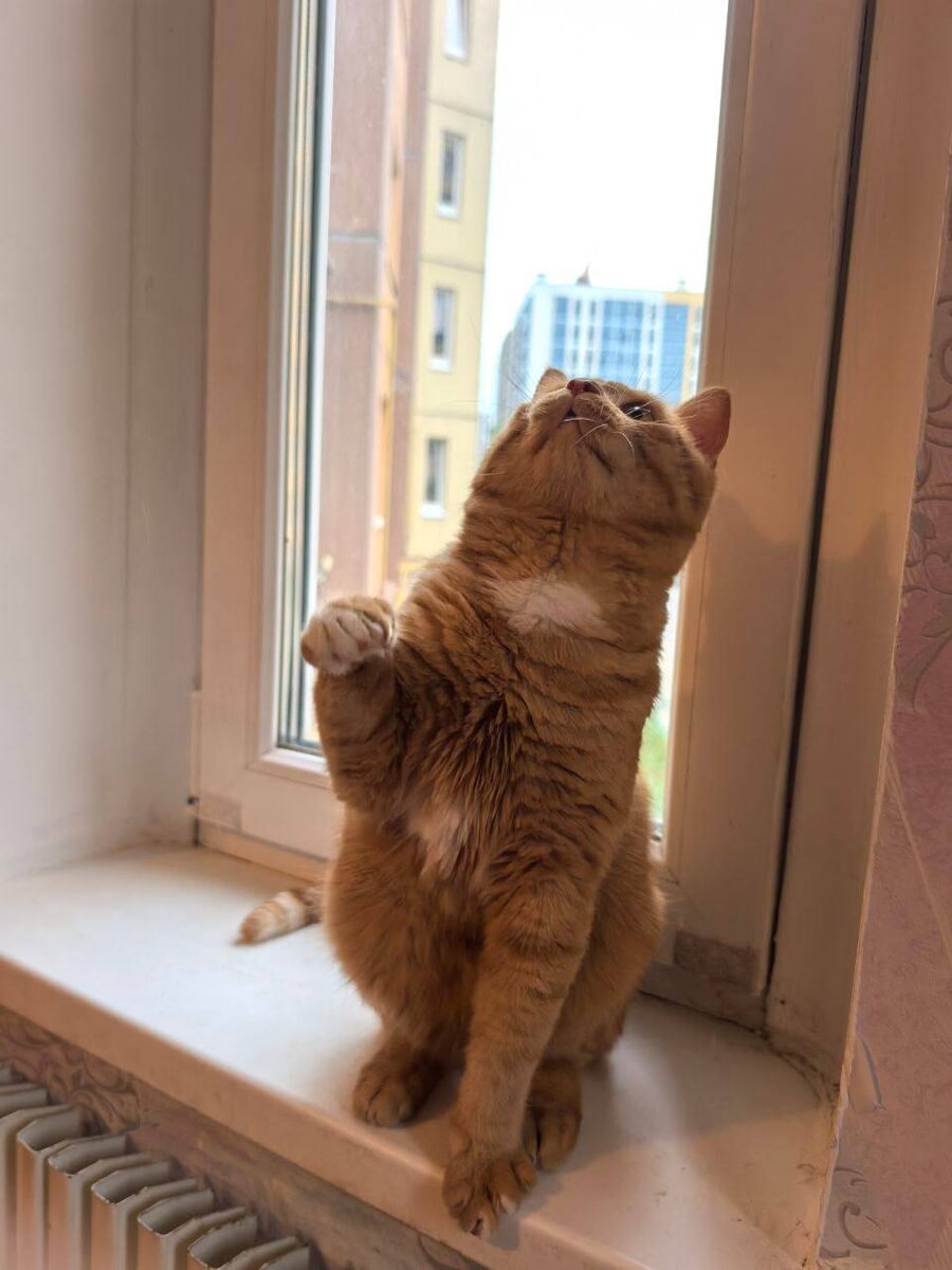 Фото из архива автора