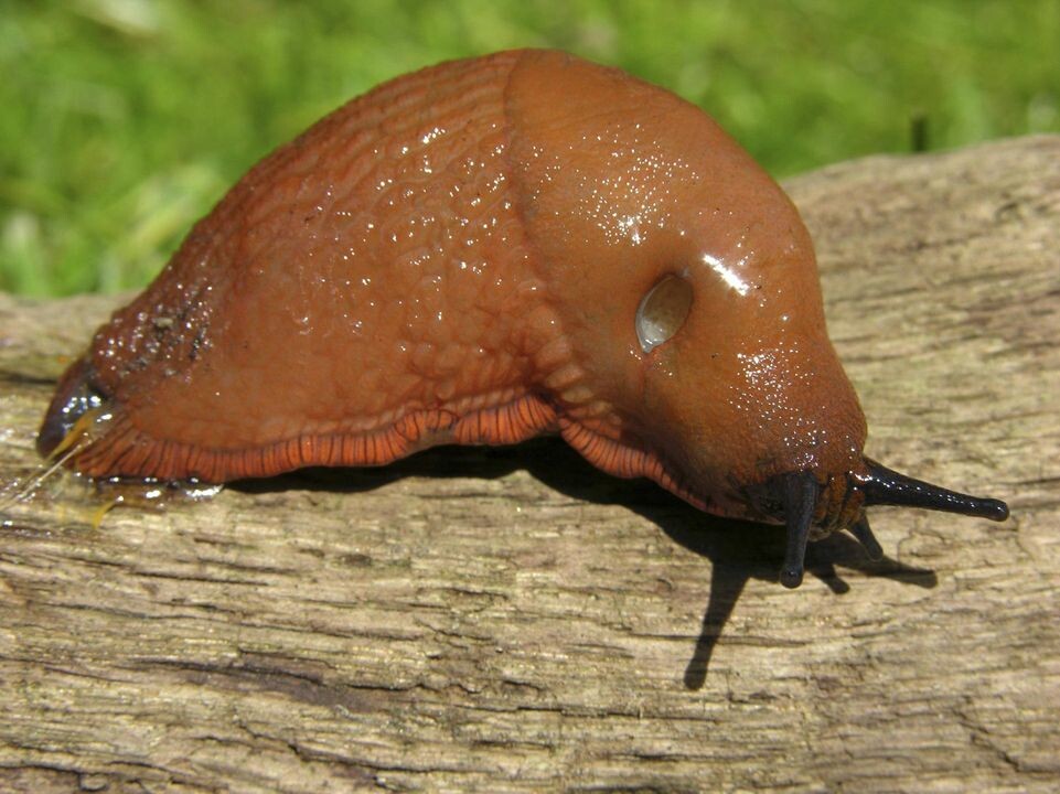    imago stock&people / www.globallookpress.com