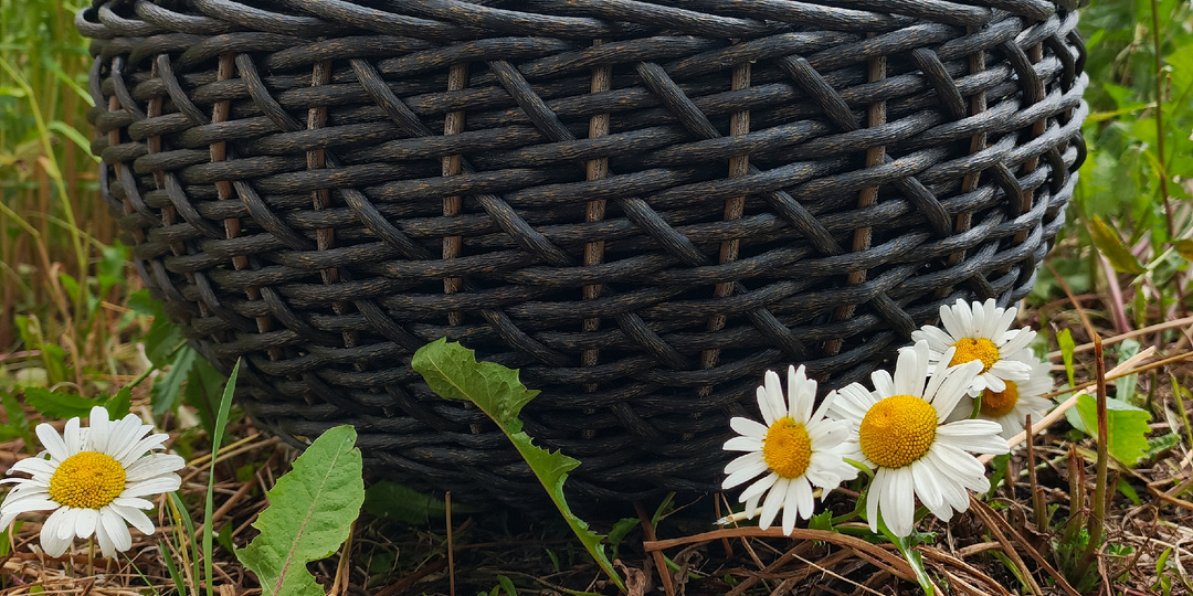 У нас розыгрыш кашпо!