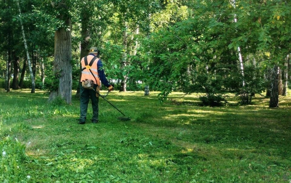    Покос травы в Барнауле. Источник: barnaul.org