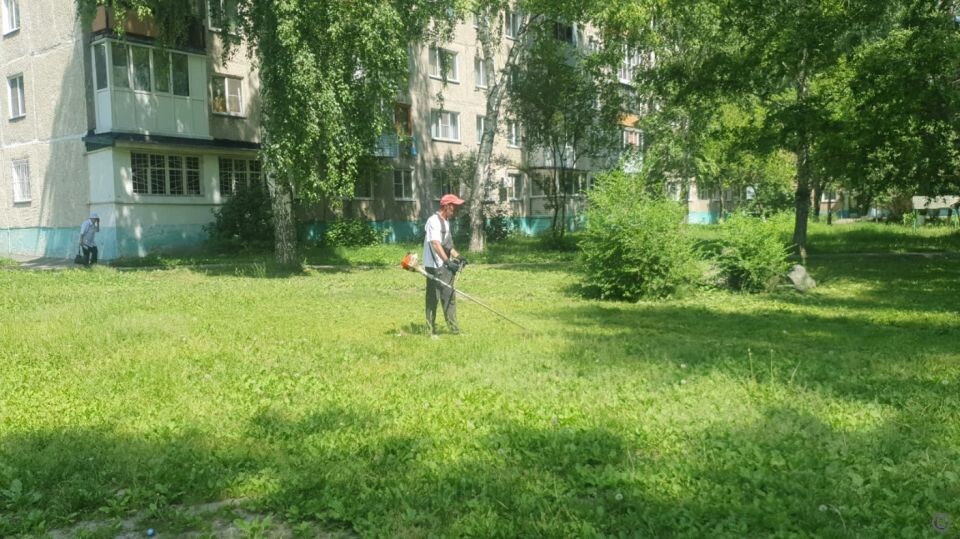    Покос травы в Барнауле. Источник: barnaul.org