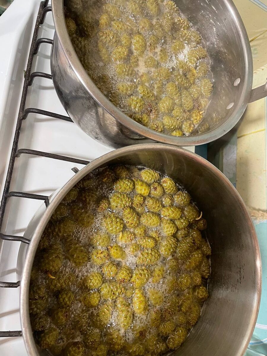 Проваривание шишек в воде без сахара. Первый этап.