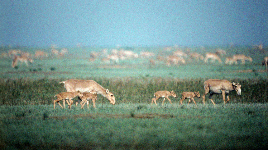    Фото: © РИА Новости/Вячеслав Бобков; 5-tv.ru