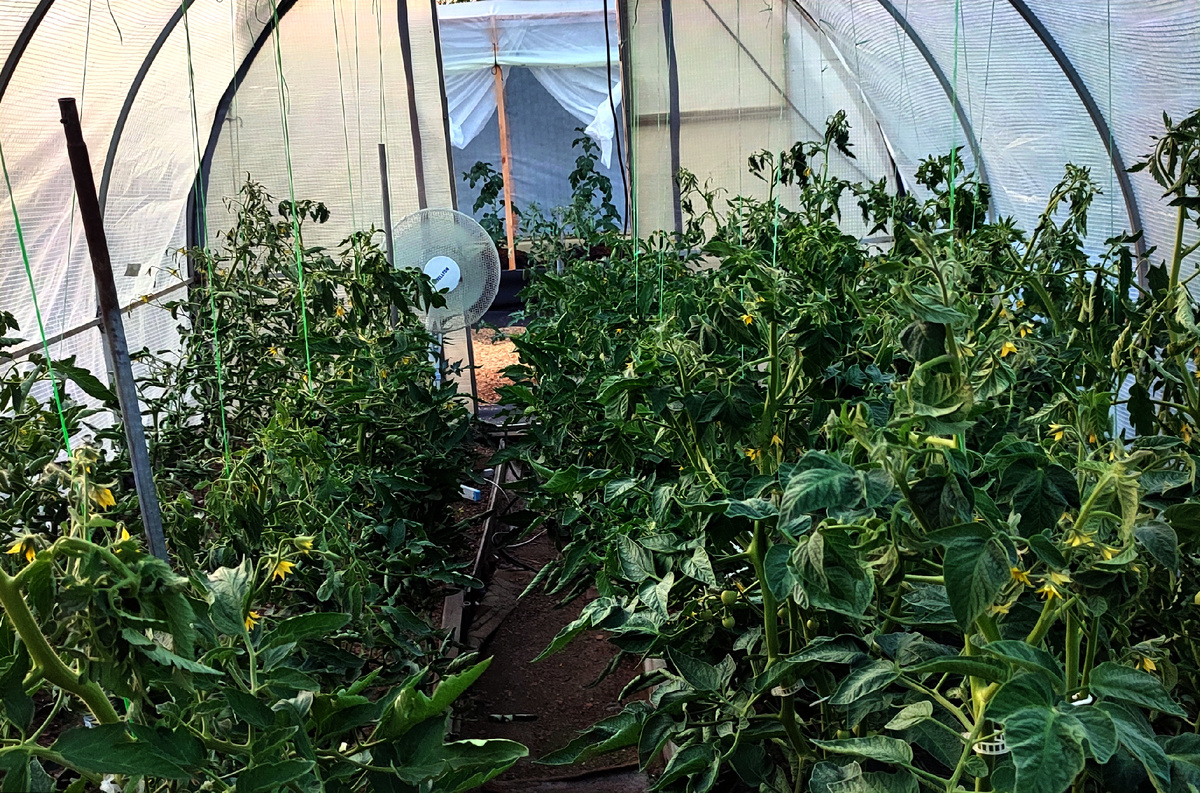 Нужно срочно покупать второй вентилятор 😊