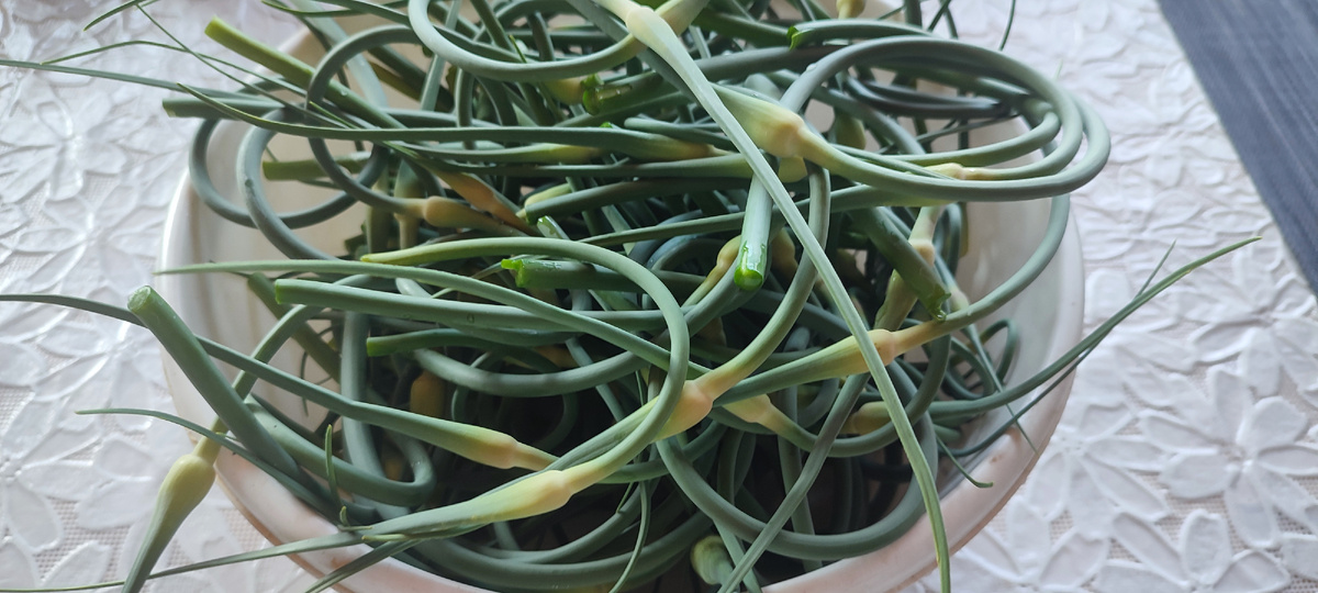 Вот такой большой тазик стрелок у меня получился. 