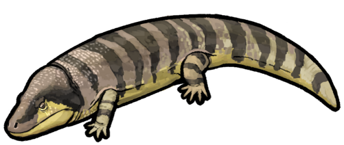 Реставрация внешнего вида.