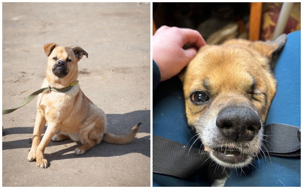 #берегиня_Буся