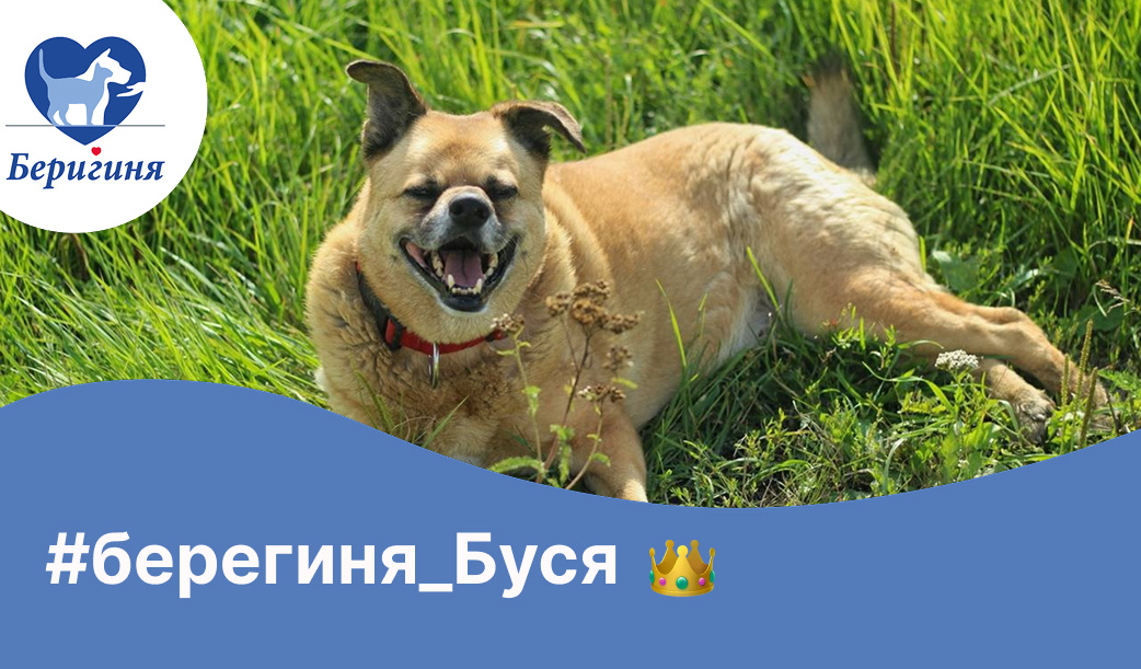 #берегиня_Буся