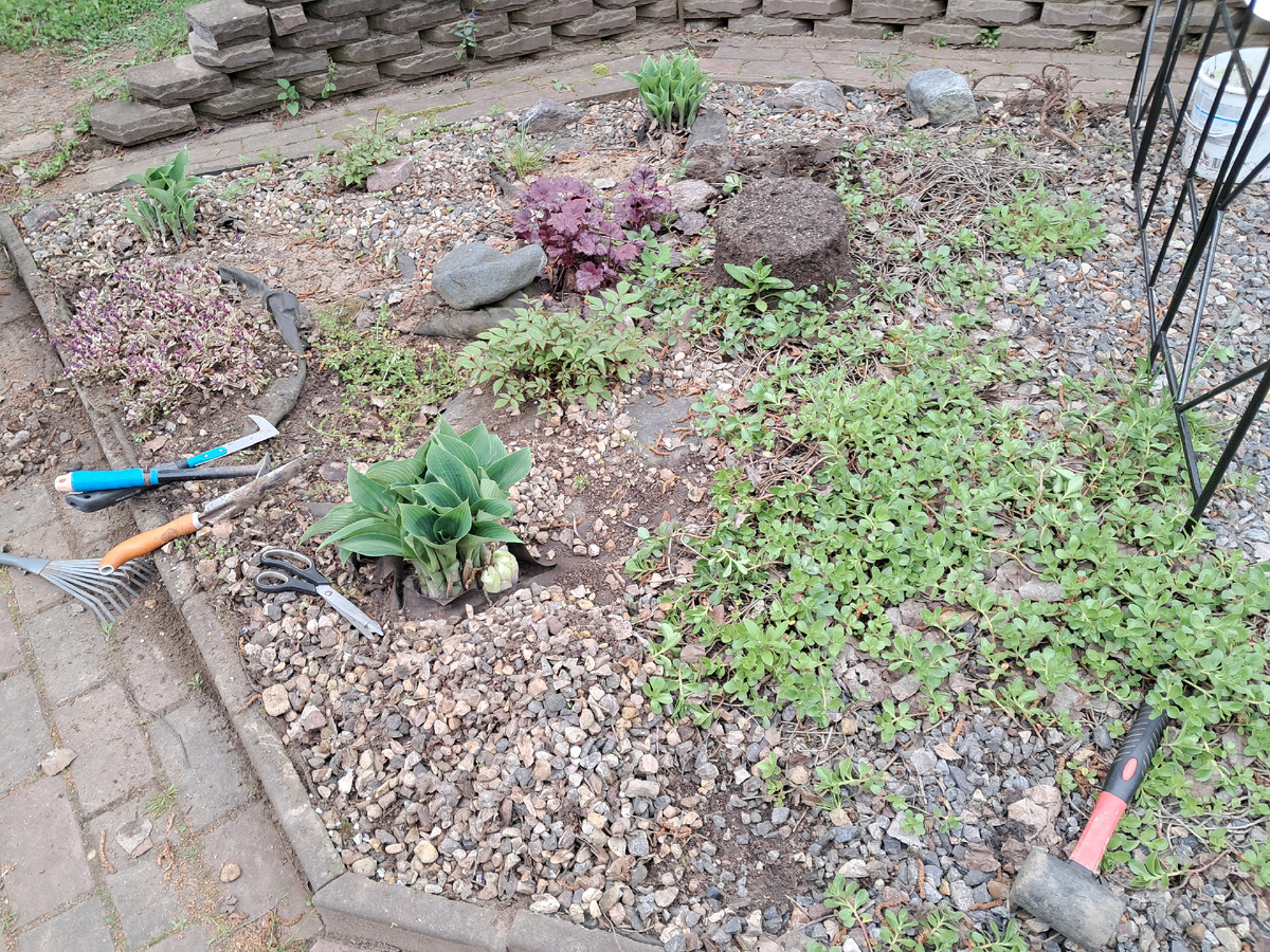 Этот "холст" нужно очистить от лишнего