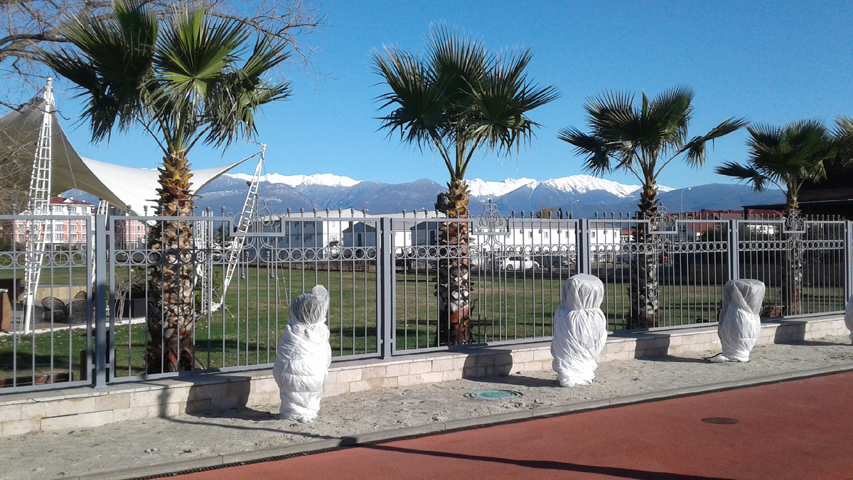 Горы в Сочи